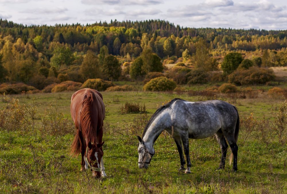 Photograph by Людмила Воробьева