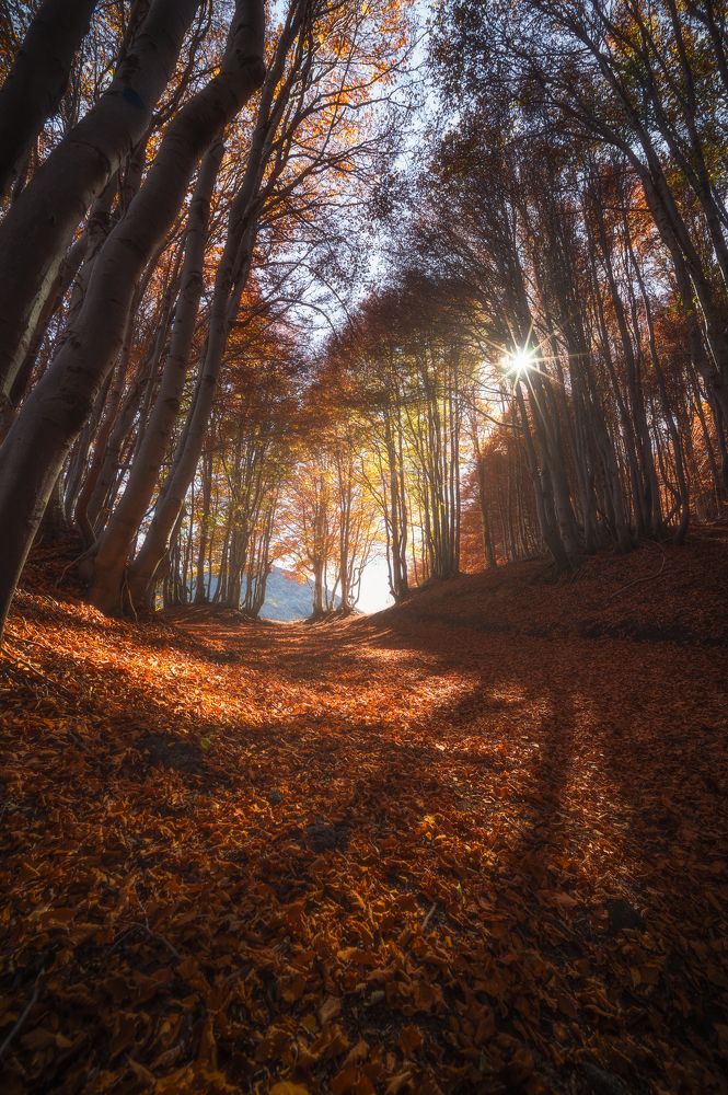 Photograph by Giancarlo Tiné