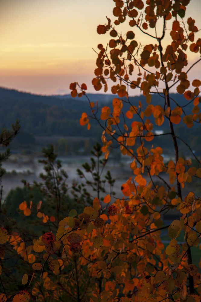 Рассвет на Змеиной горе