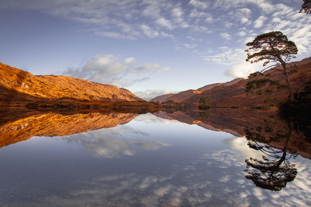 Photograph by Ángel Esteban