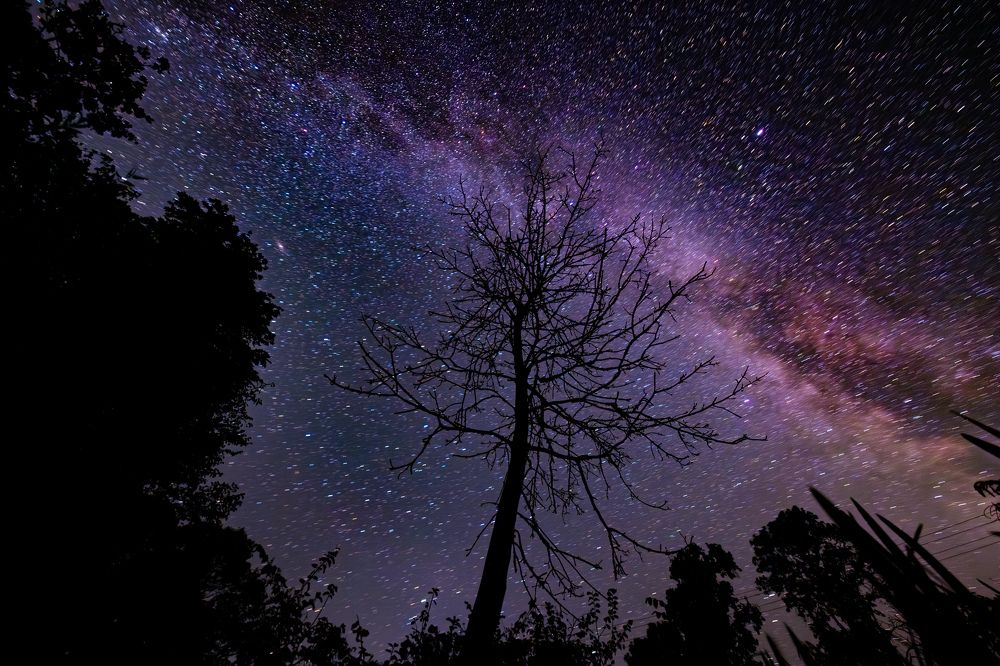 Photograph by Сергей Морозов