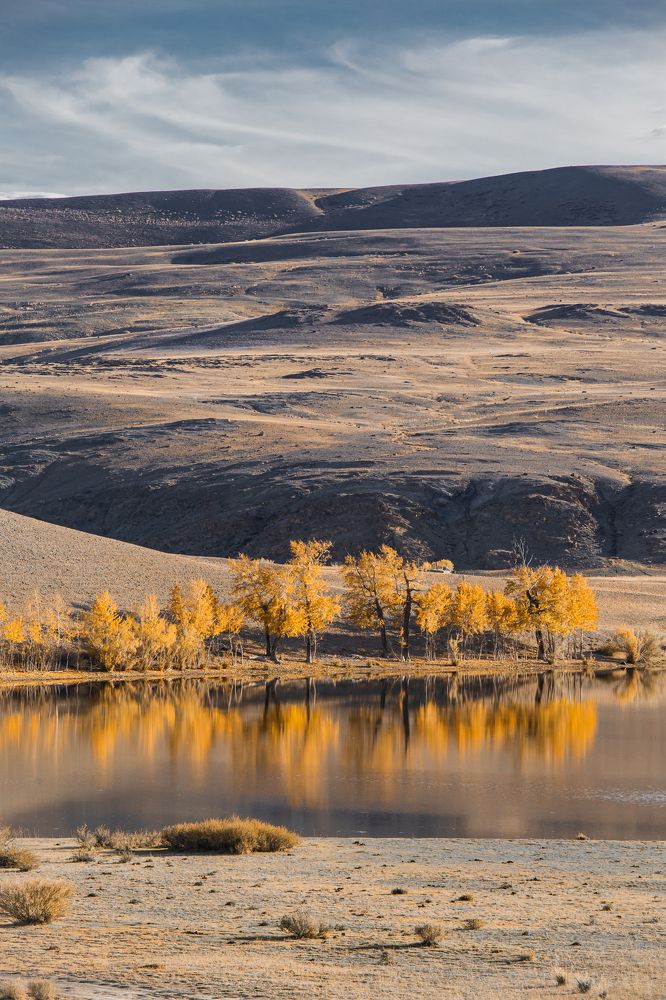 Photograph by Елена Павлова