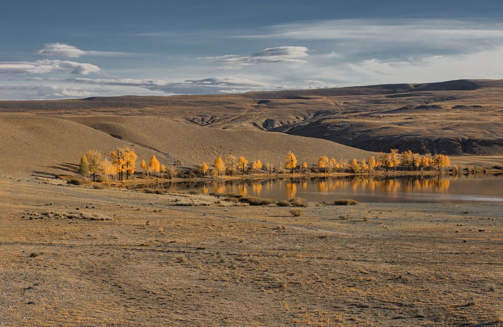 Photograph by Елена Павлова