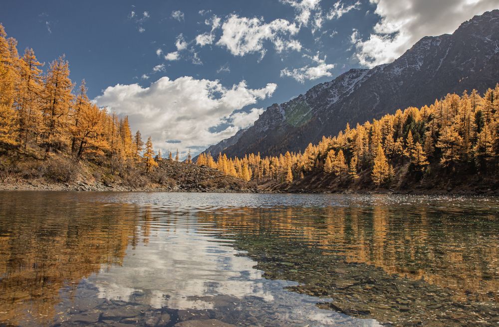 Photograph by Елена Павлова