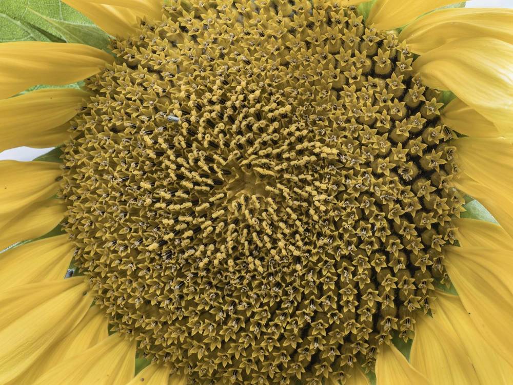 Photograph by Борис Полтавец