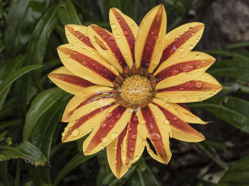 Photograph by Борис Полтавец