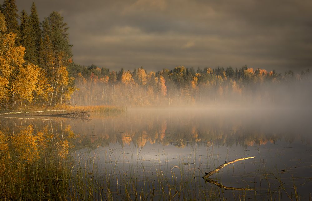 Золотая осень на Большом Кимозере