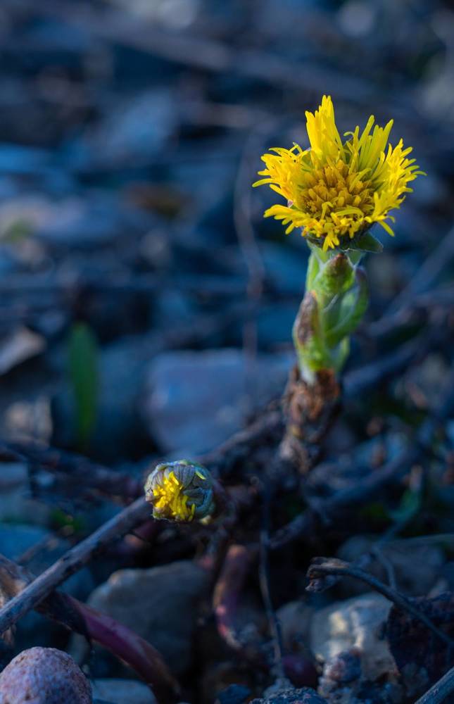 Photograph by Герман Крупенин