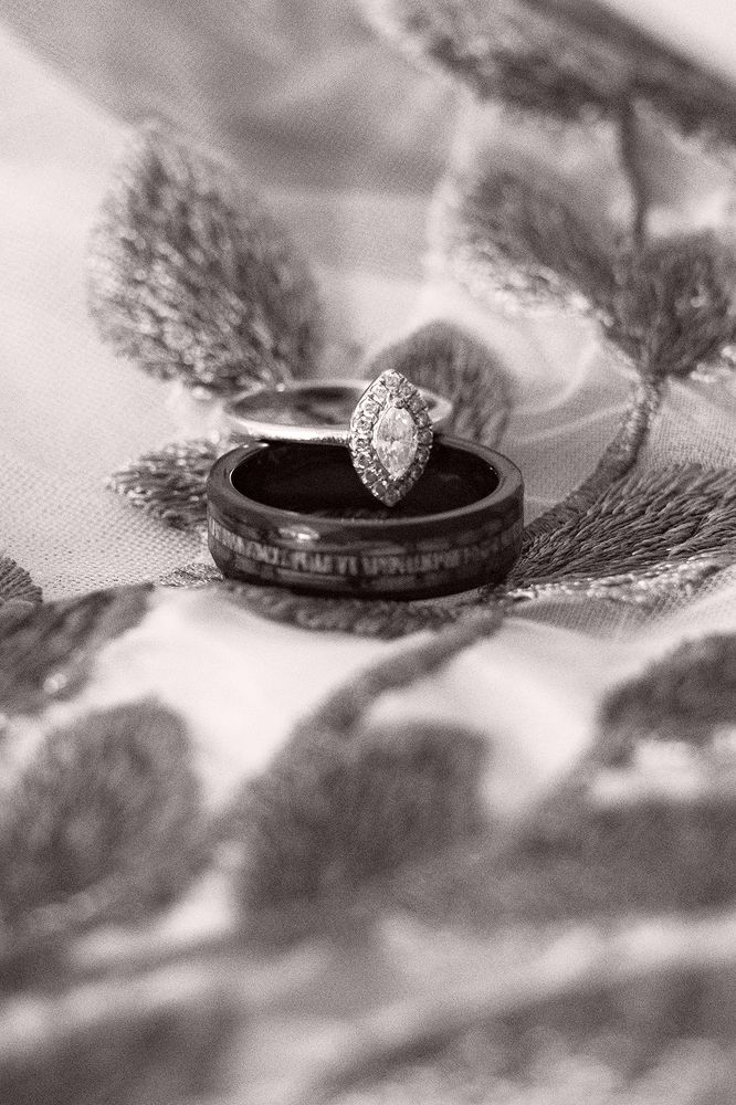 Photograph by Shannon Maltbie-Davis