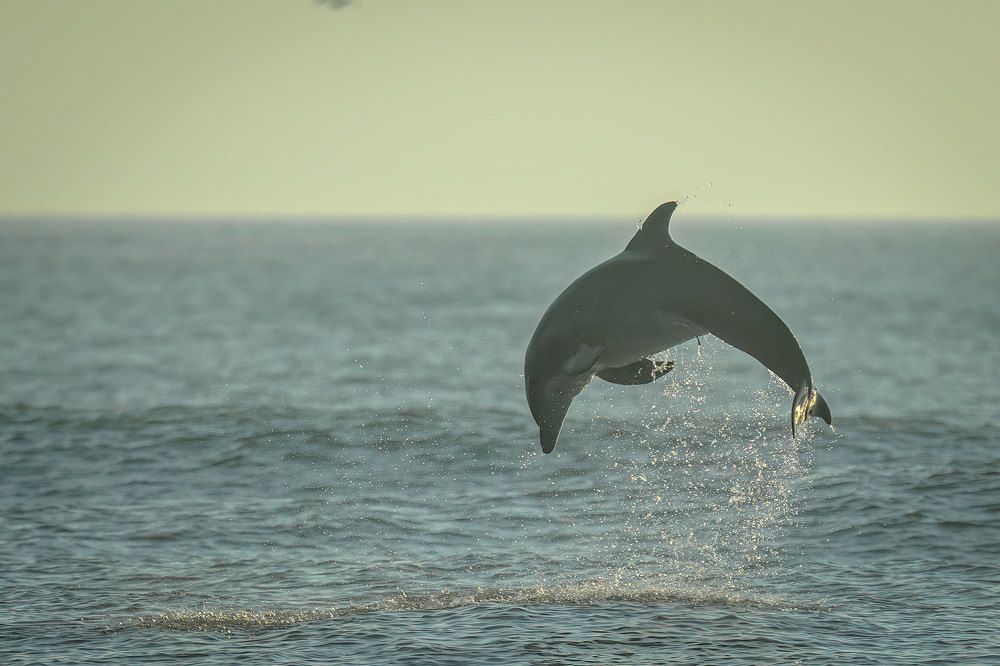 Фотография автора Erik Nelson