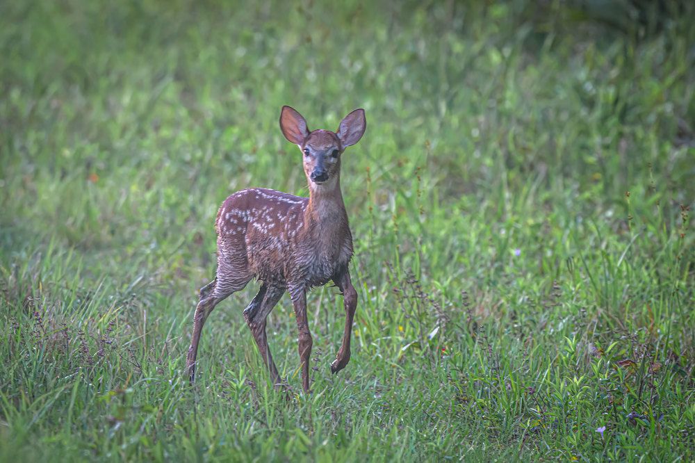 Фотография автора Erik Nelson