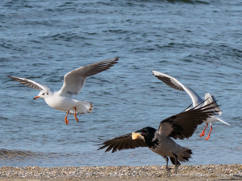 Photograph by Борис Полтавец