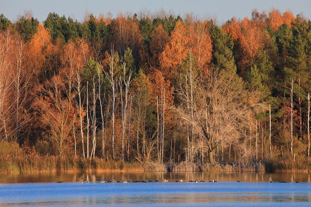Photograph by Николай Протасеня