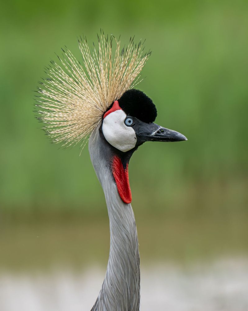 Photograph by Prasad Hamine