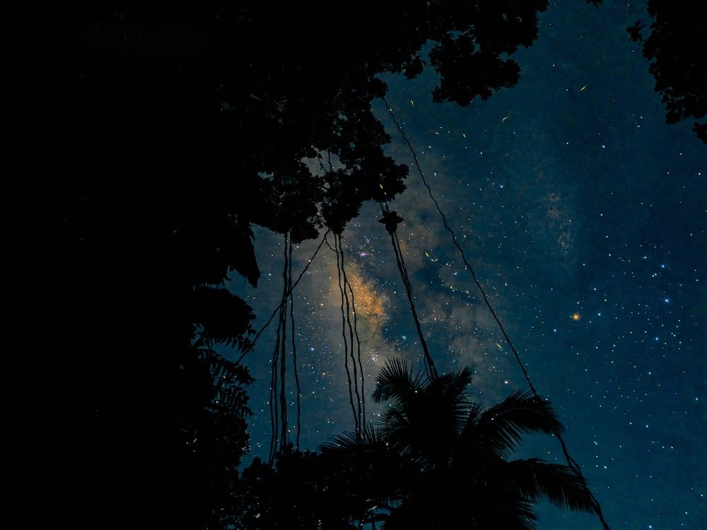 Photograph by Jayanindu Shamen