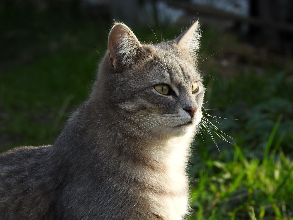 Photograph by Олеся Дейнеко