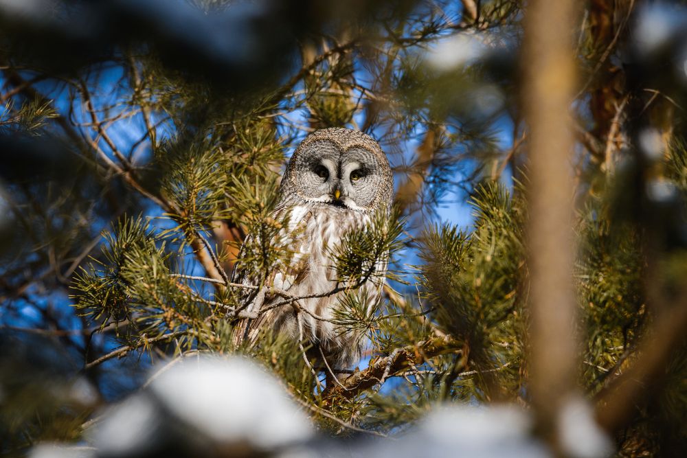 Photograph by Максим Маркин