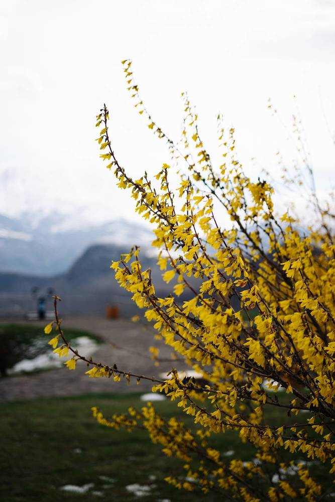 Photograph by Viktoriia Shin