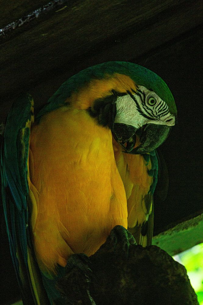 Photograph by Oshadha Priyankara