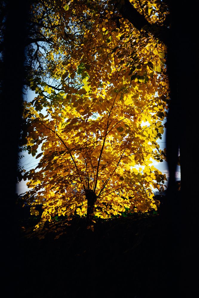 Photograph by Viktoriia Shin
