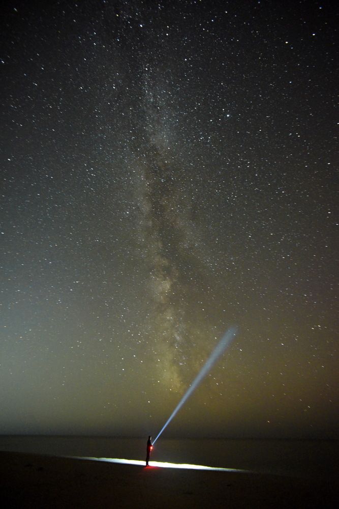 Фотография автора Медведев Сергей