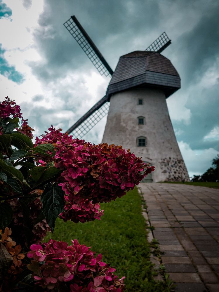 Photograph by Наталия