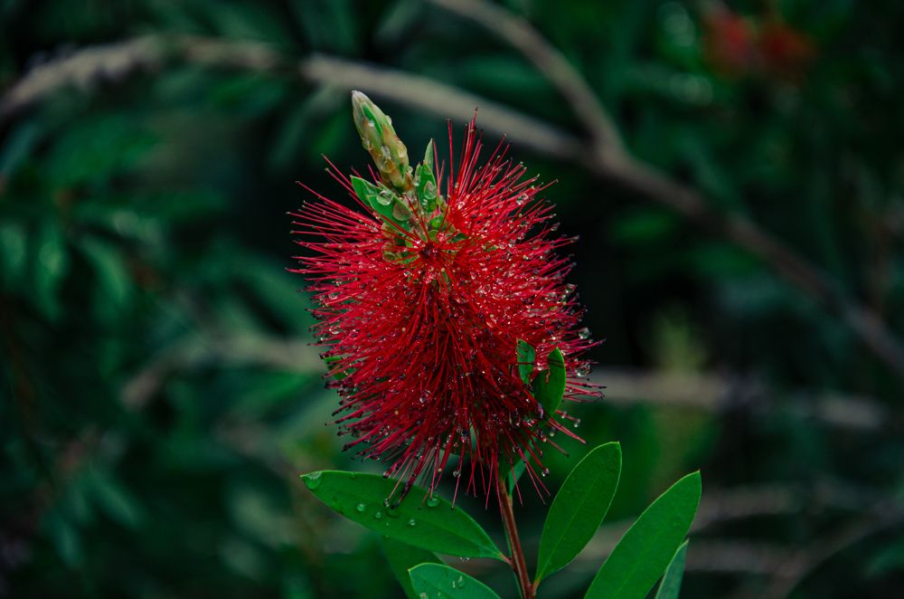 Photograph by Влад Василенко