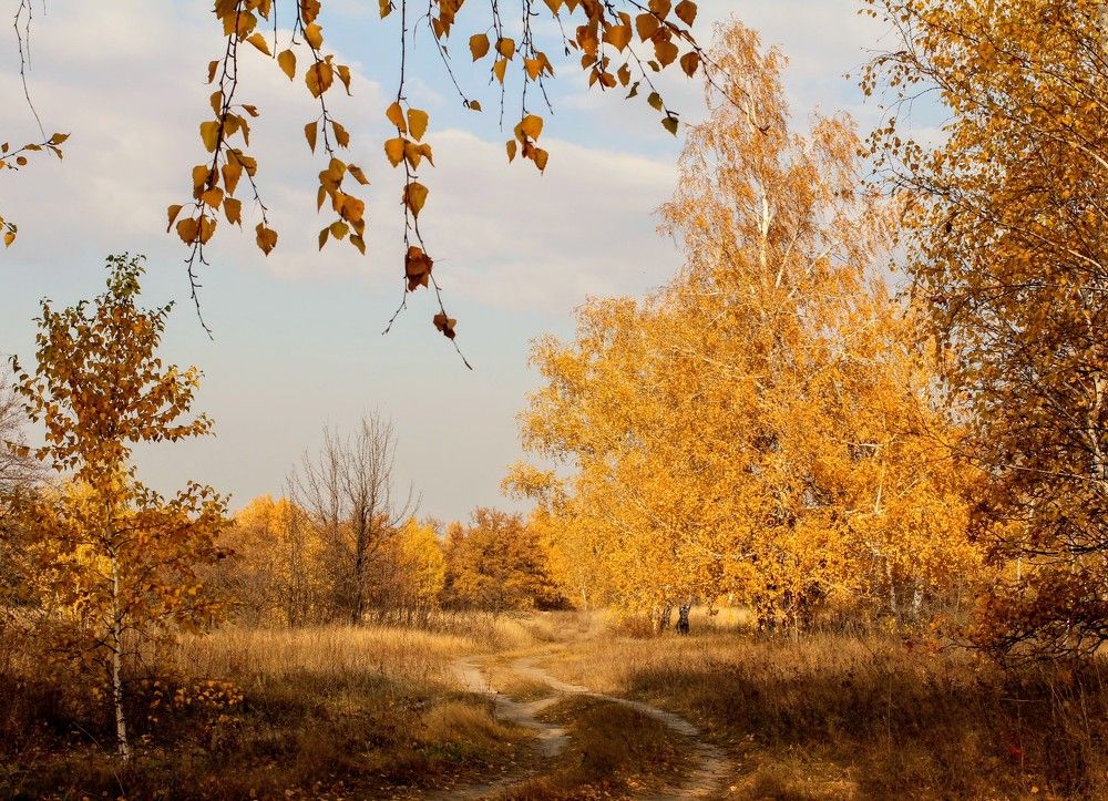 Photograph by AlexaL