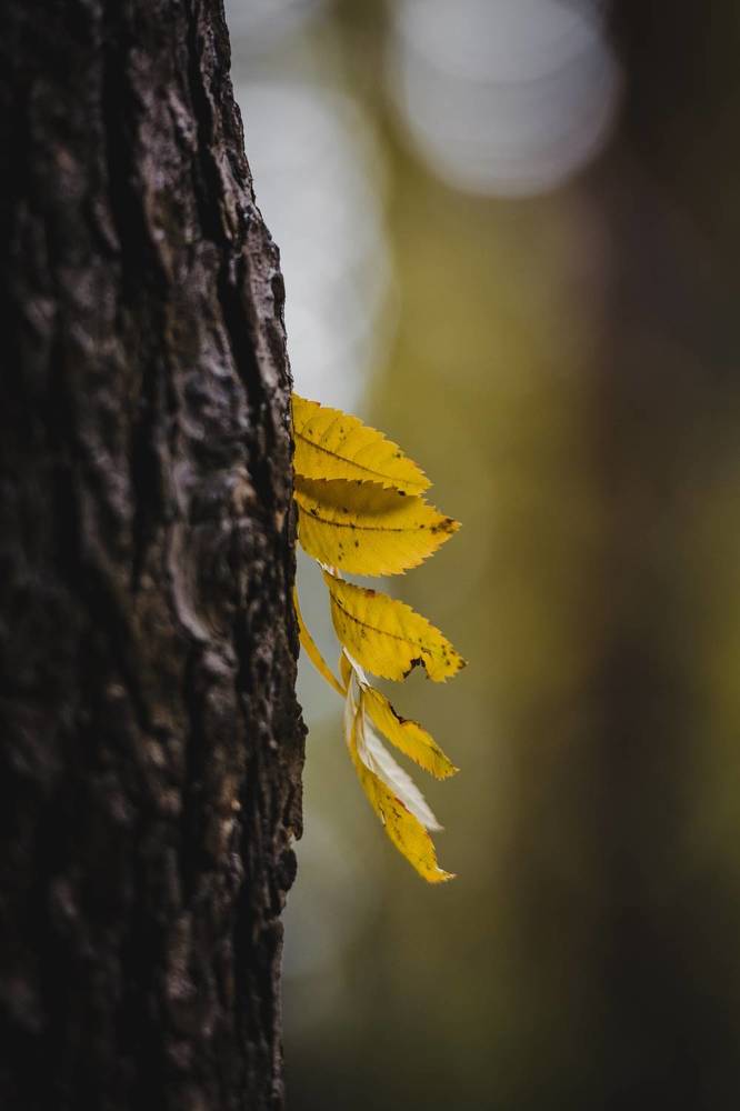 Photograph by Николай Головко