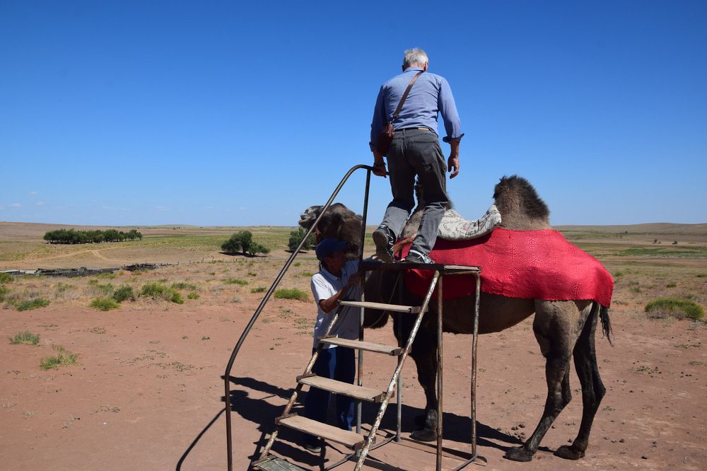 Photograph by Ирина Федичева