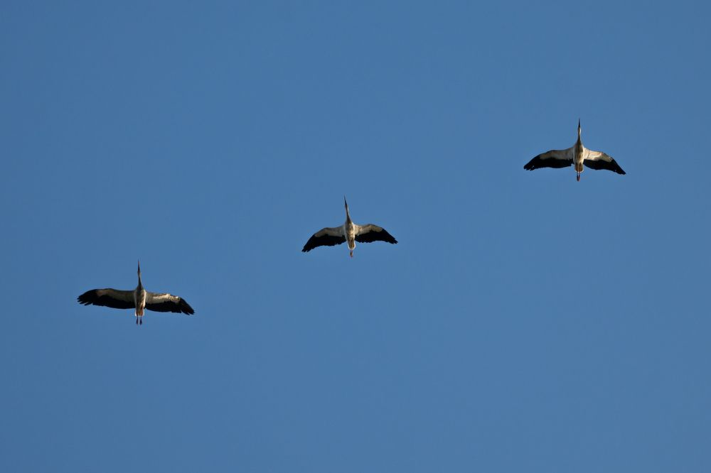 Photograph by Илья Горшенков