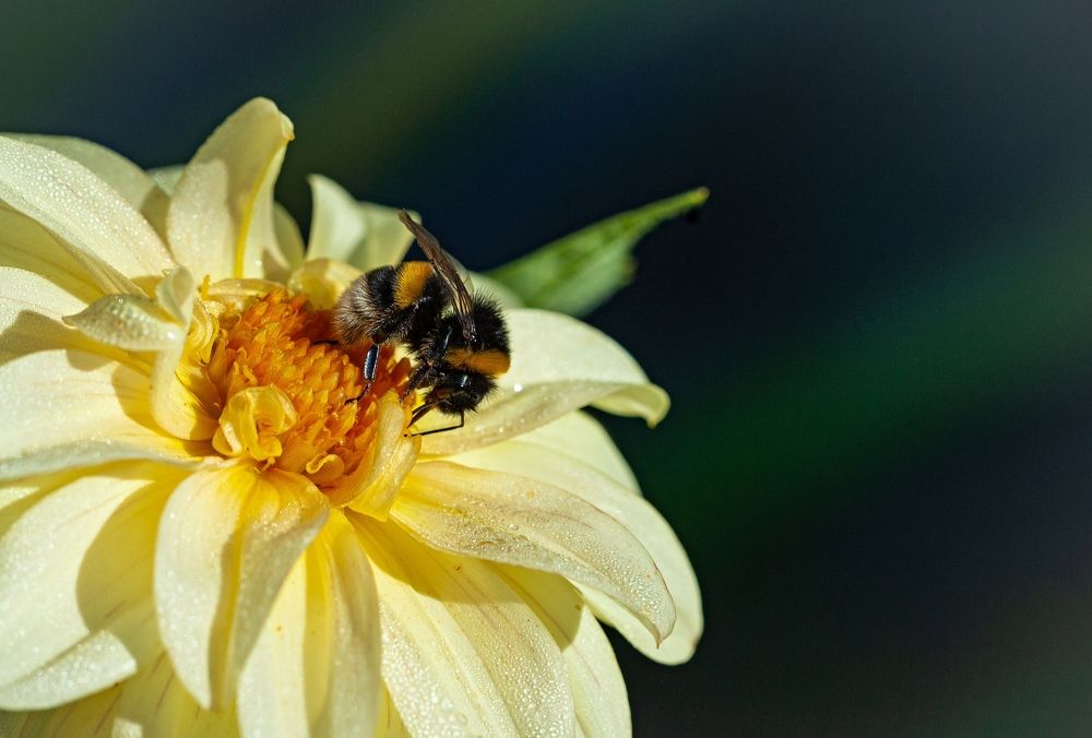 Photograph by Сергей Басов