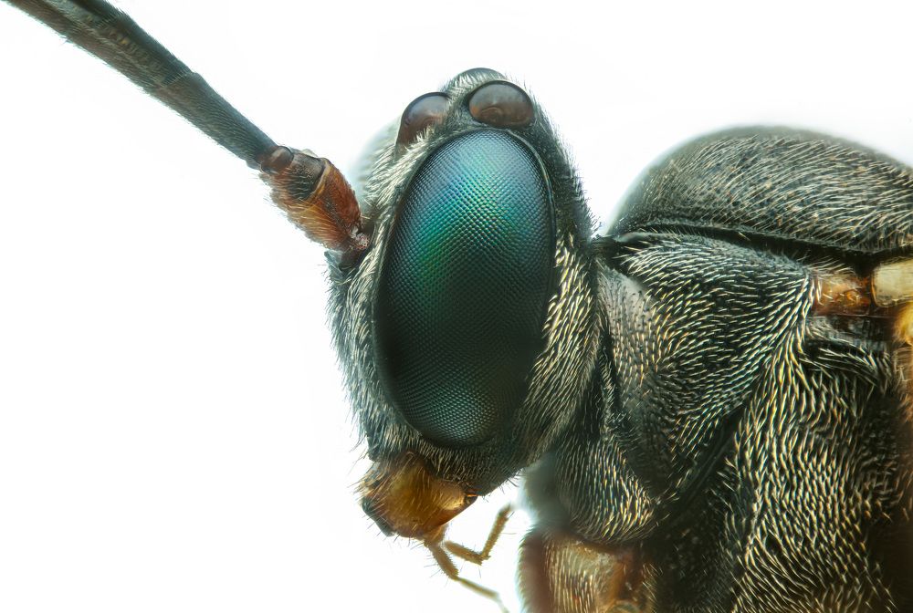 Photograph by Юрий Юрьевич Подгрушный