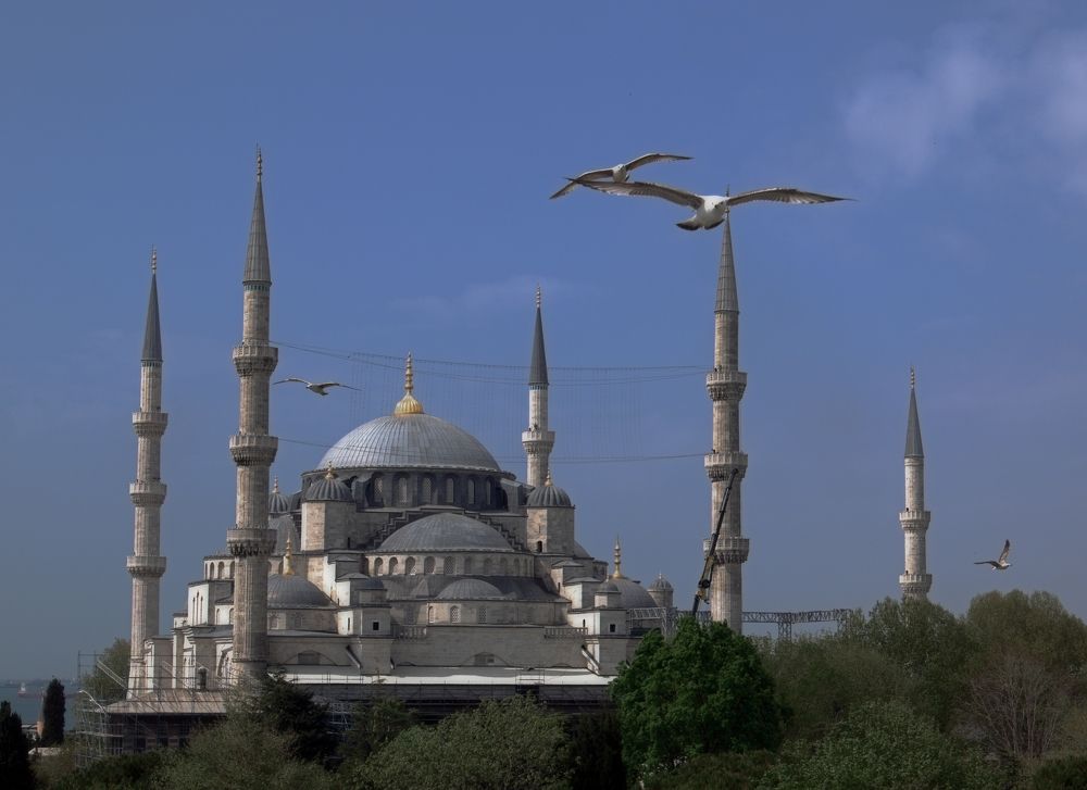 Photograph by Елена Побродилина