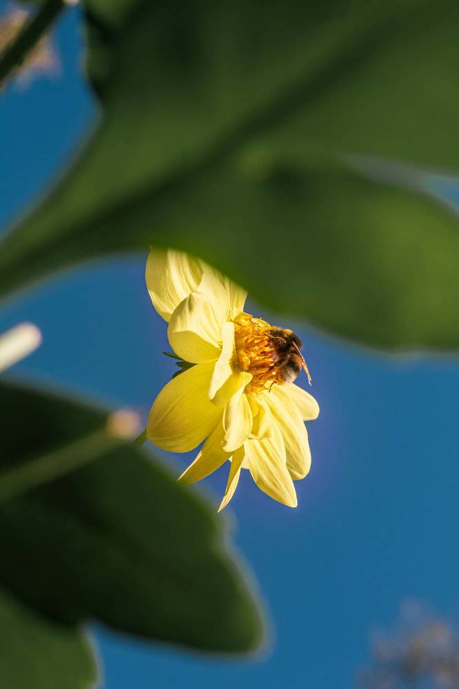 Photograph by Синицын Дмитрий