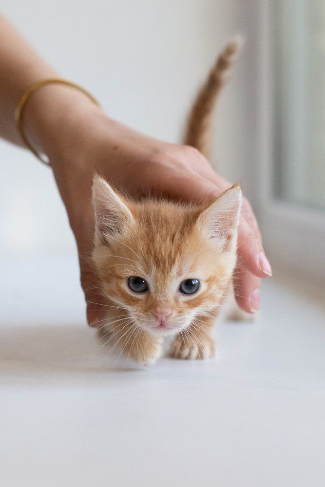 Photograph by Екатерина Медведева