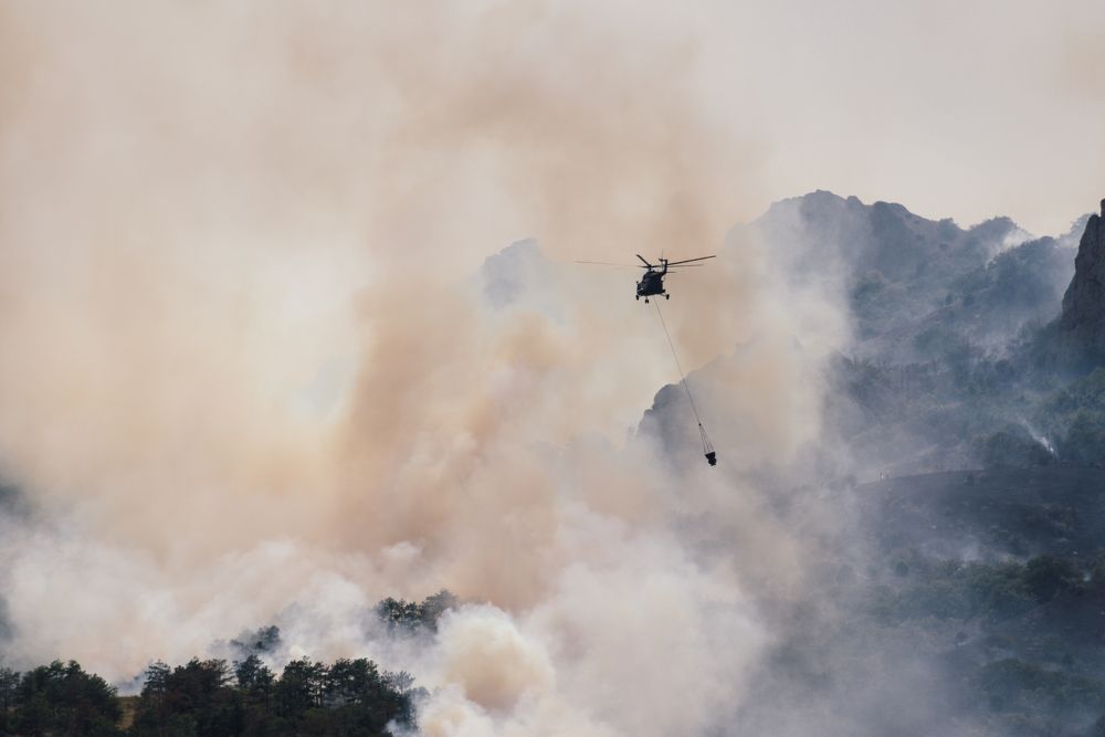 Пожар в заповеднике