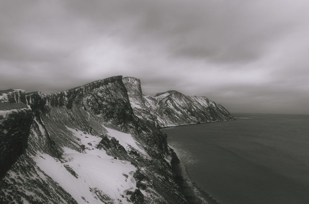 Зимний Хамелеон