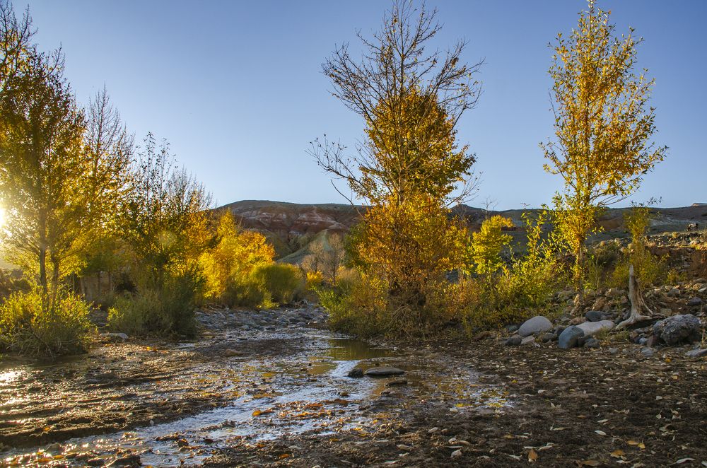 Photograph by Надежда Михайлина