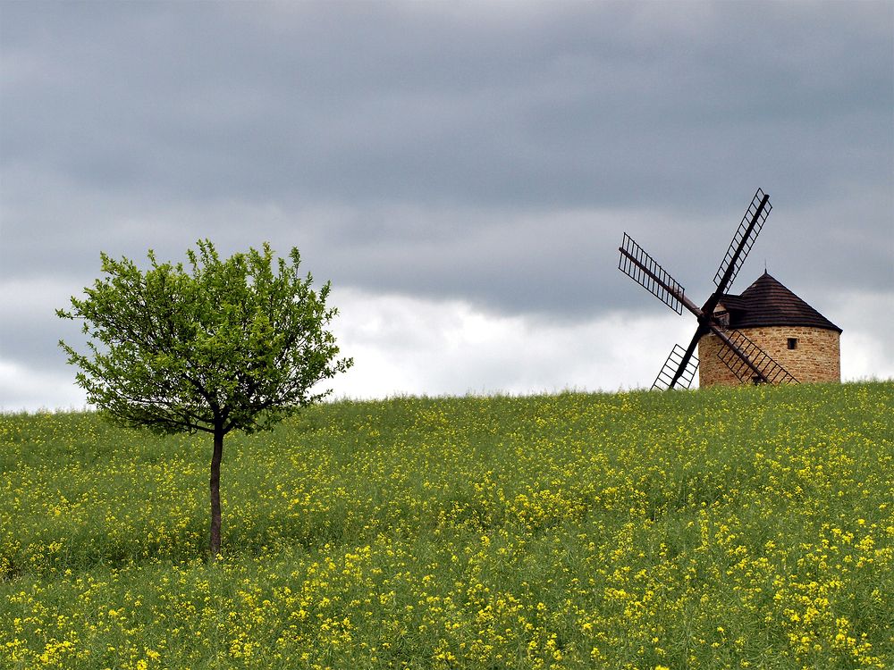 Photograph by Bob Gajdoš