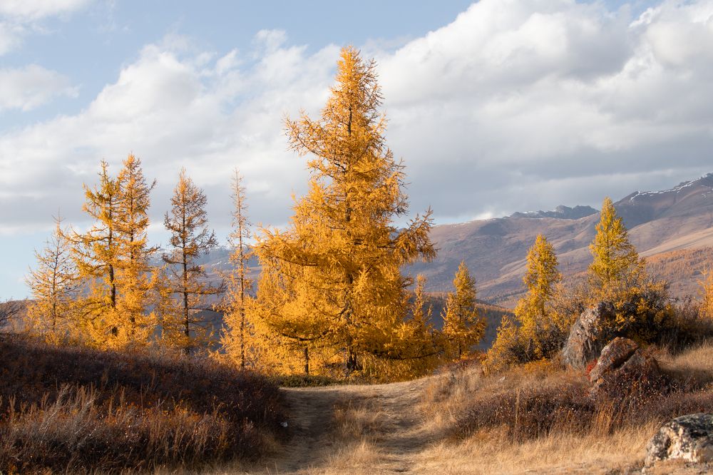 Photograph by Степан Ковыльчик