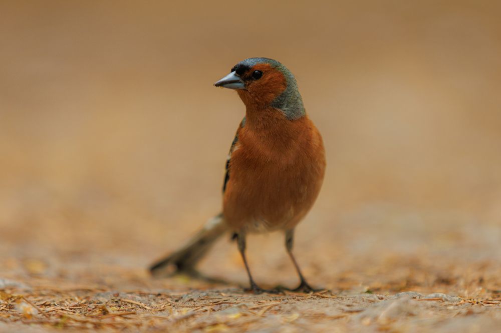 Photograph by Яна Нарбутович