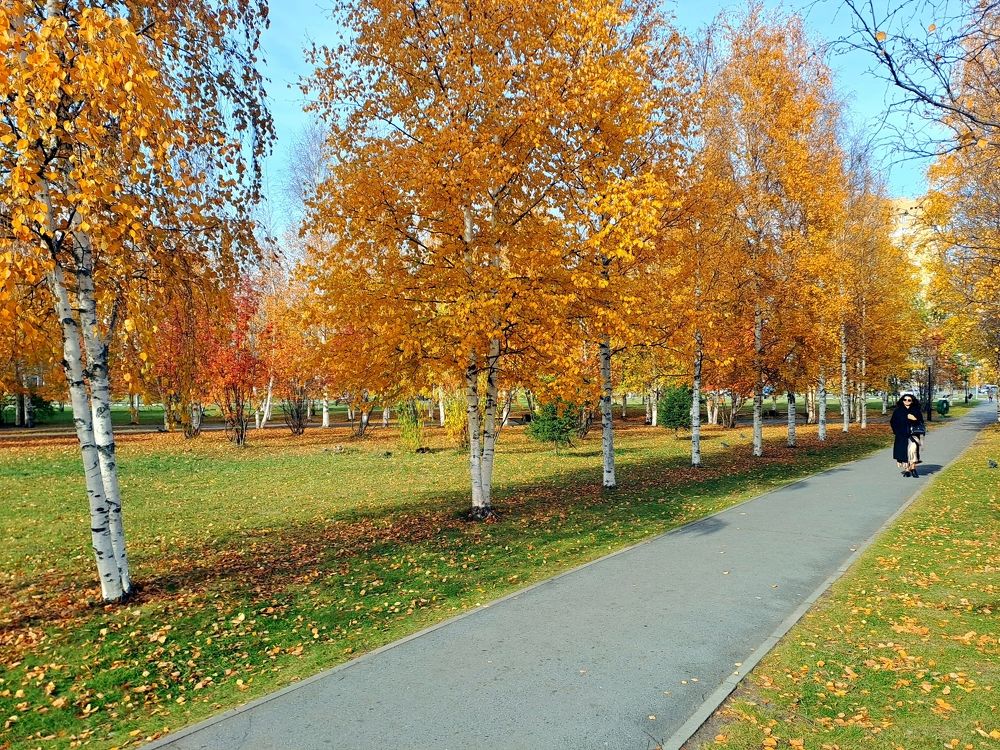 Осенняя пора