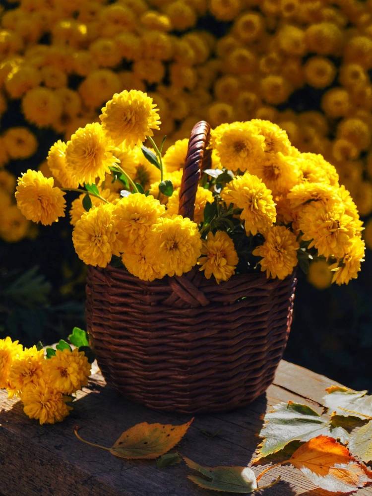 Photograph by Ирина Чувило