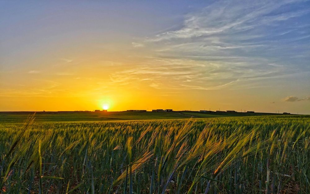 Photograph by Azzeddine Memmou