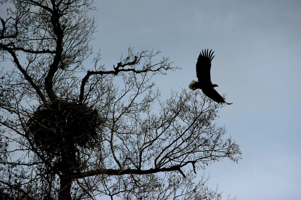 Photograph by Андрей Хитрун