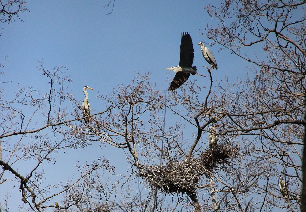 Photograph by Андрей Хитрун