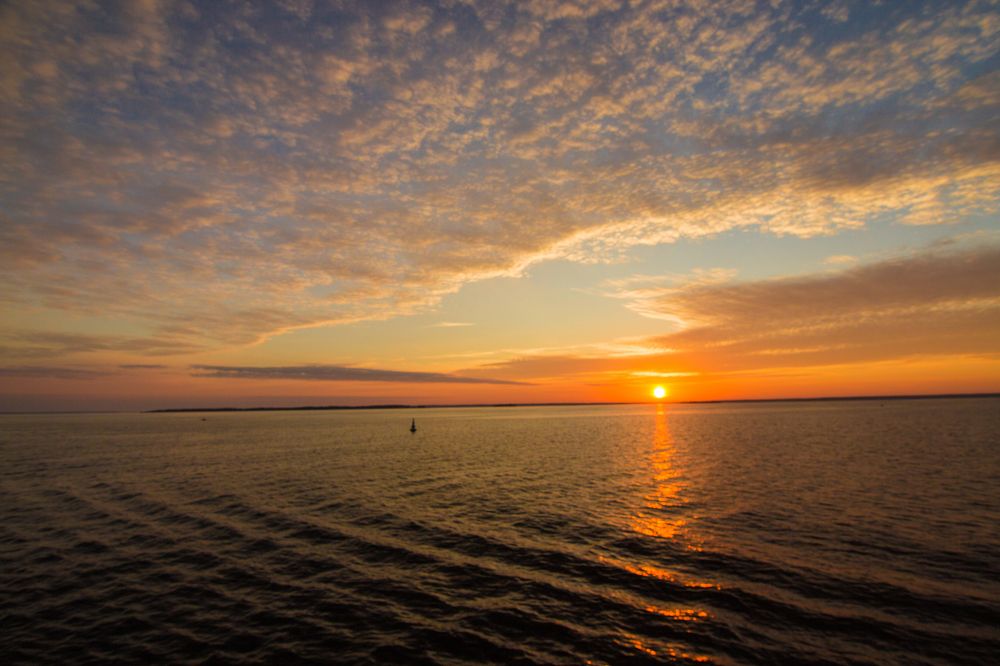 Фотография автора Хвойнова Елена