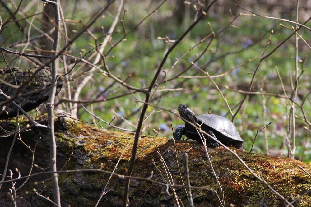 Photograph by Андрей Хитрун