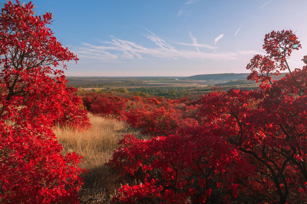 Photograph by Шишкалов Константин